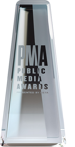 Public Media Awards trophy