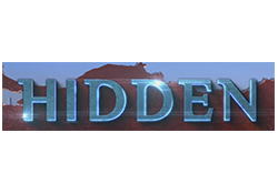 Hidden logo
